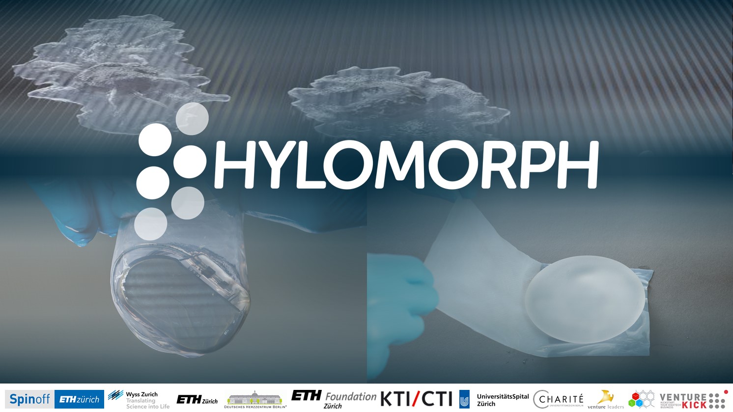 Hylomorph